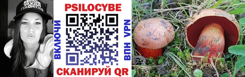 Галлюциногенные грибы Psilocybe  Сусуман 